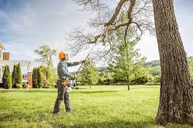 Best Storm Damage Tree Cleanup  in Manistee, MI